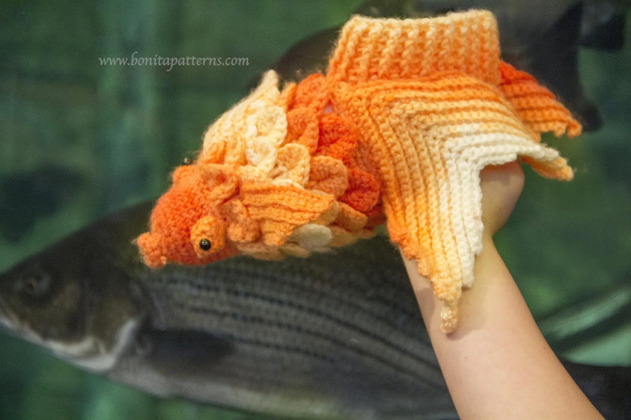 Crocodile Stitch Goldfish Boots (Adult Sizes)