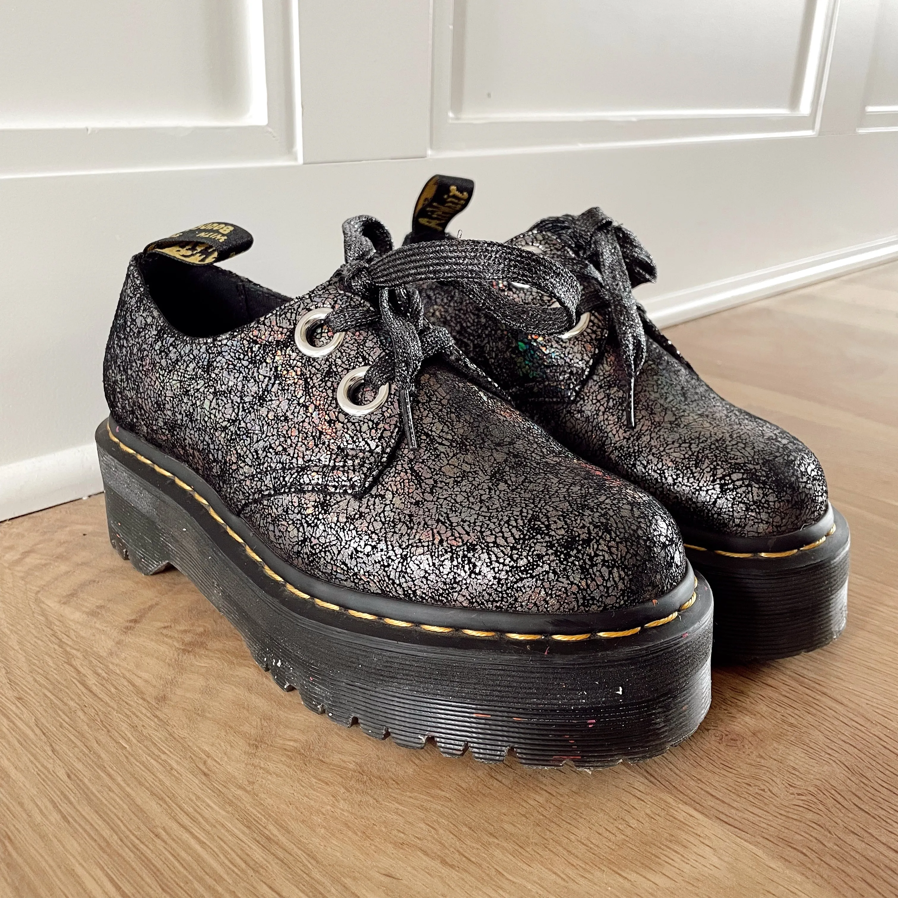 Gunmetal Holly