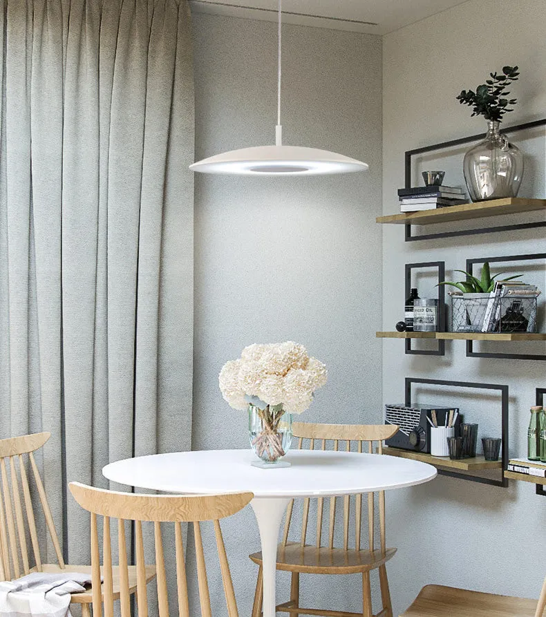 Semi Dome LED Pendant Light