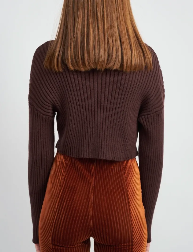 Turtleneck Cropped Knit Sweater