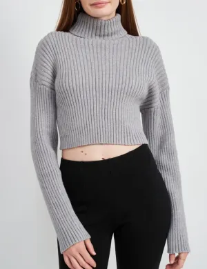 Turtleneck Cropped Knit Sweater